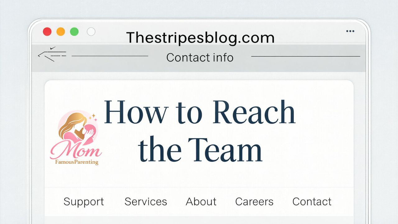 Thestripesblog.com contact info – How to Reach the Team